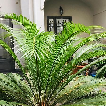 B&B Fiumara Napoli Eksteriør billede